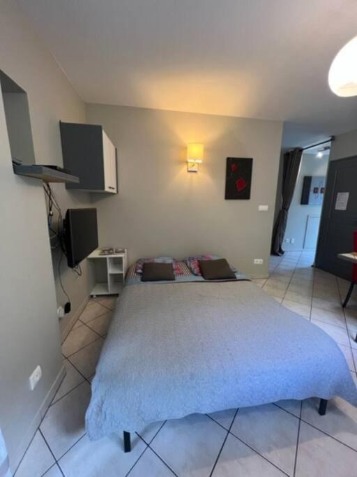 Le Fsi .Confort*Wifi*Parking*Ski - Cure Thermale-Les Lodges De Sandrine La Léchère المظهر الخارجي الصورة